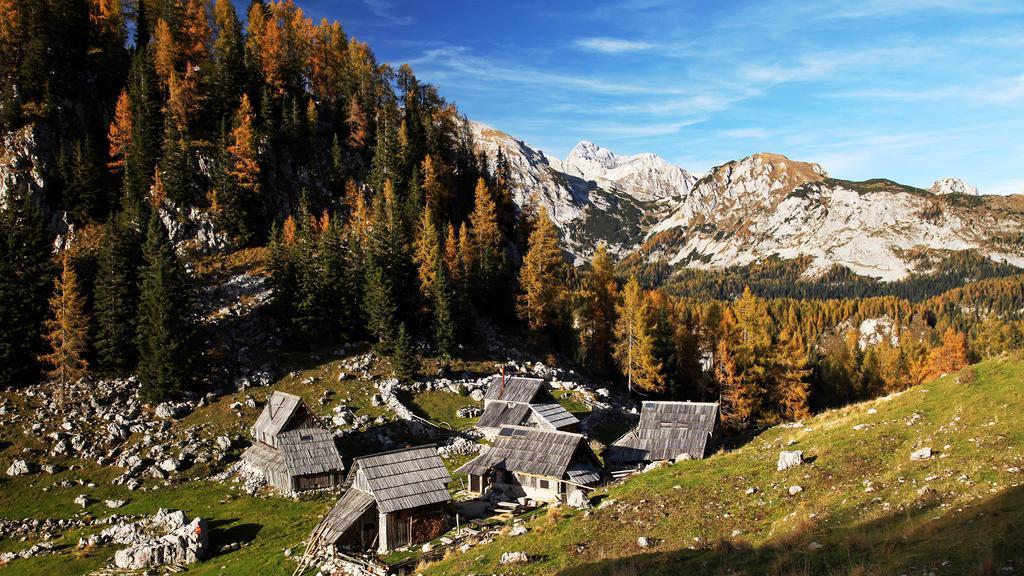 Apartments Bohinjskih 7 المظهر الخارجي الصورة